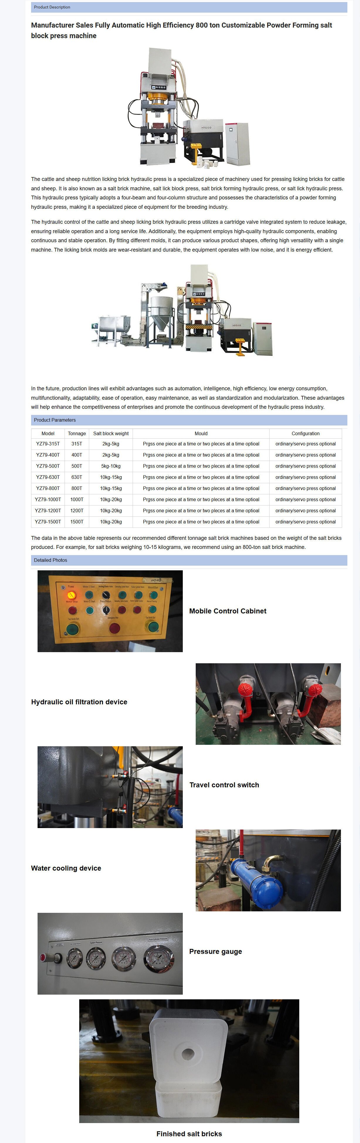 Manufacturer Sales Fully Automatic High Efficiency 800 Ton Customizable Powder Forming Salt Block Press Machine details